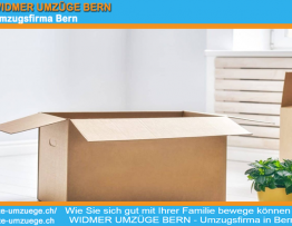 Wie Sie sich gut mit Ihrer Familie bewege können - WIDMER UMZÜGE BERN - Umzugsfirma in Bern
